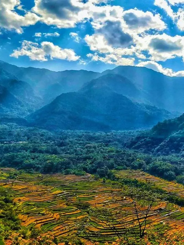 tourist places in nagaland