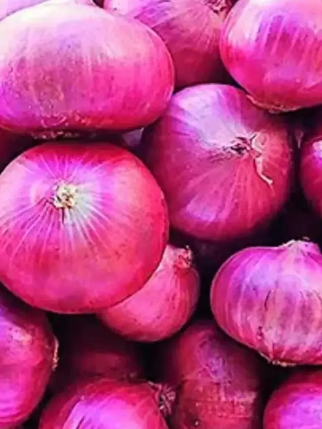 onion price