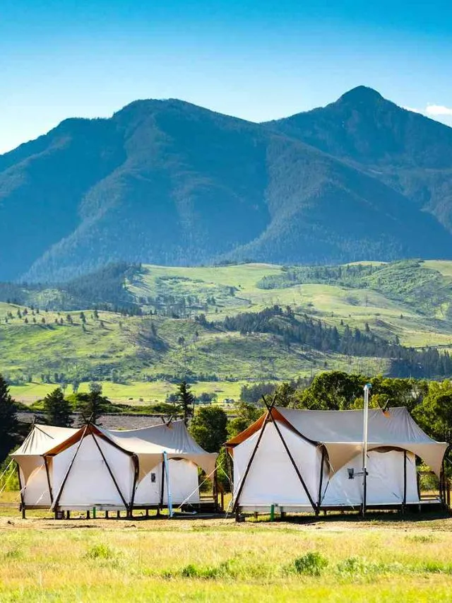 places to stay in Yellowstone national park